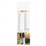 Calendario de pared
