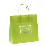 Busta in carta kraft colorata 15x8x20 cm personalizzabile con logo