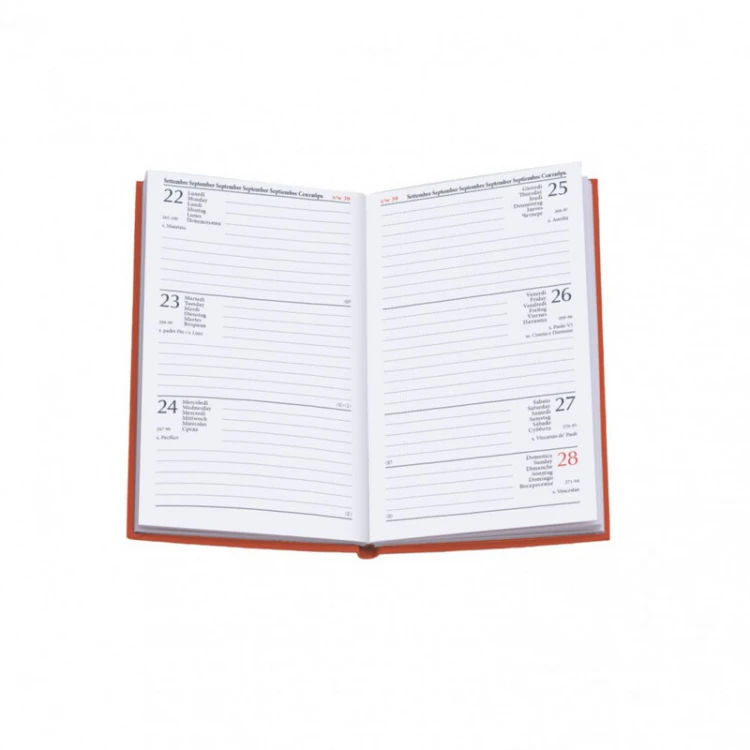 Mini planeador semanal