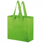 Borsa frigo