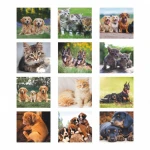 Calendario da Parete