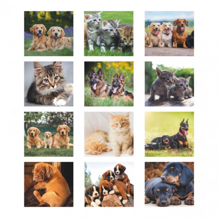 Calendario da Parete