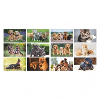 Calendario da Parete