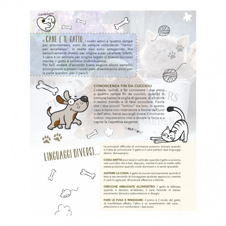 Calendario da Parete