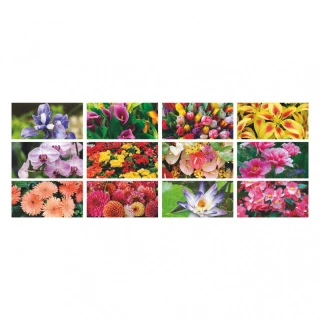 Calendario da Parete