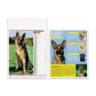 Calendario "Cani e Gatti"