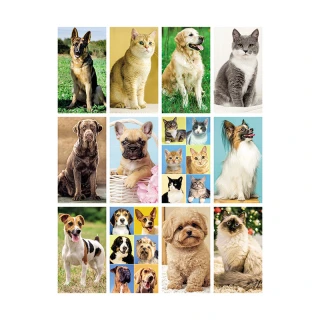 Calendario "Cani e Gatti"