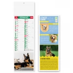 Silhouette Cani e Gatti