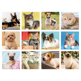 Silhouette Cani e Gatti