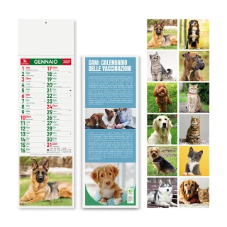 Silueta de perros y gatos