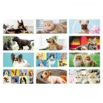 Calendario da tavolo "Cani e Gatti"