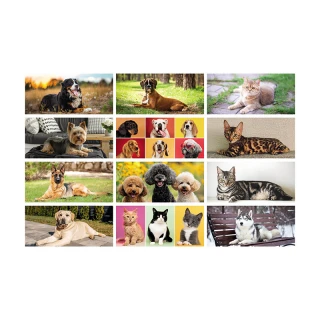 Calendario de escritorio Perros y Gatos