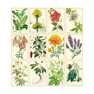 Calendario Erboristeria