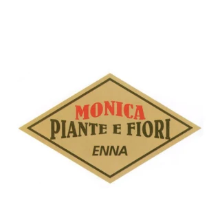 etichette adesive B13