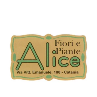 etichette adesive B17