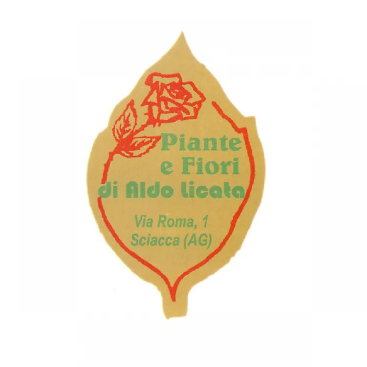 etichette adesive C14