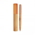Metal pen with case