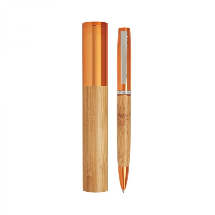 Metal pen with case