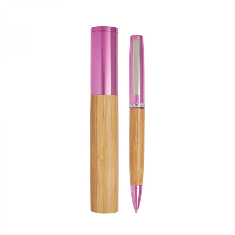 Metal pen with case
