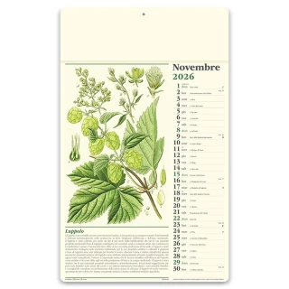 Calendario da parete Consigli del farmacista