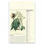 Calendario da parete Consigli del farmacista con testata da personalizzare, ideale per farmacie e parafarmacie