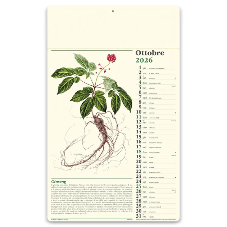 Calendario da parete Consigli del farmacista con testata da personalizzare, ideale per farmacie e parafarmacie