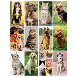 Calendario cani e gatti da parete
