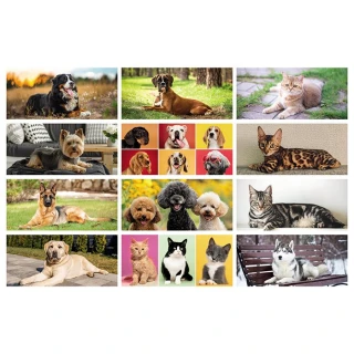 Tischkalender Hunde und Katzen