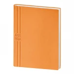 Agenda giornaliera in Tam da personalizzare con logo, dimensioni 17x24 cm, interno intercambiabile da 324 pagine