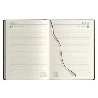 Agenda manager giornaliera