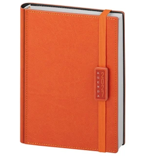 Agenda giornaliera