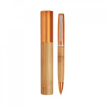 Metal pen with case