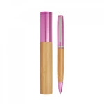 Metal pen with case