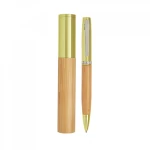 Metal pen with case