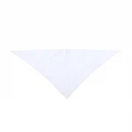 Bandana gigante