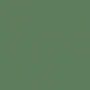 CACTUS GREEN