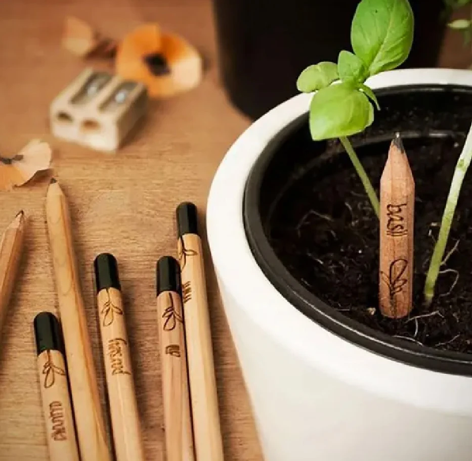 Matita piantabile: un gadget green che si trasforma in pianta